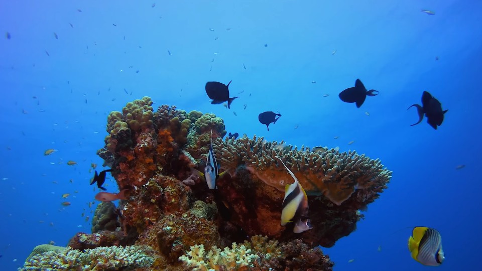 Creaciones personalizadas